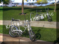 Schwinn Towers The Original